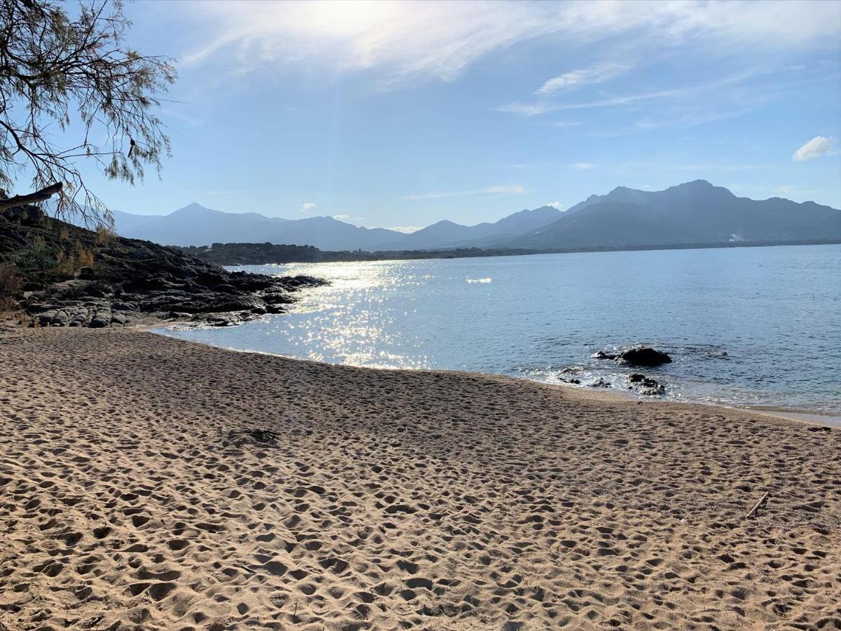 Camping Monte Ortu By Corsica Paradise Hotell Lumio  Exteriör bild